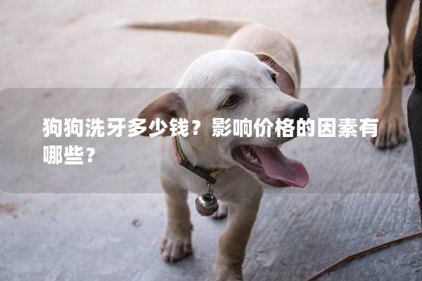 狗狗洗牙多少錢？影響價格的因素有哪些？