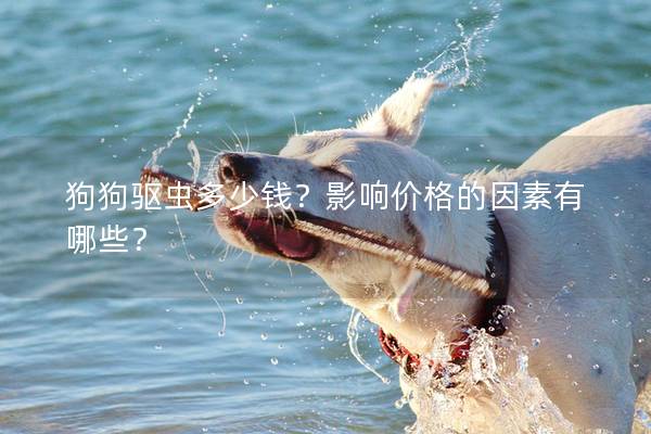 狗狗驅(qū)蟲多少錢？影響價(jià)格的因素有哪些？