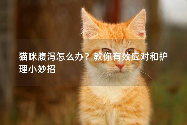 貓咪腹瀉怎么辦？教你有效應對和護理小妙招