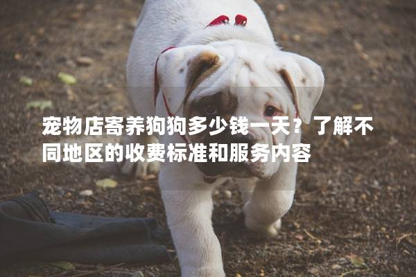 寵物店寄養狗狗多少錢一天?了解不同地區的收費標準和服務內容 寵物店寄養狗狗多少錢一天?了解不同地區的收費標準和服務內容