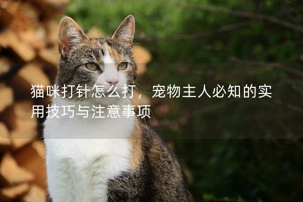貓咪打針怎么打，寵物主人必知的實用技巧與注意事項