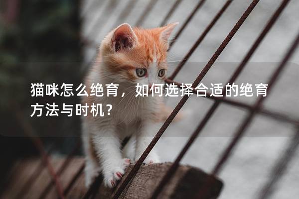貓咪怎么絕育，如何選擇合適的絕育方法與時(shí)機(jī)？