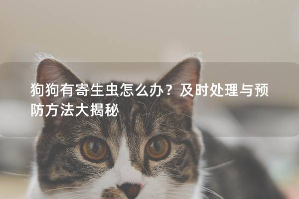 狗狗有寄生蟲怎么辦？及時處理與預(yù)防方法大揭秘