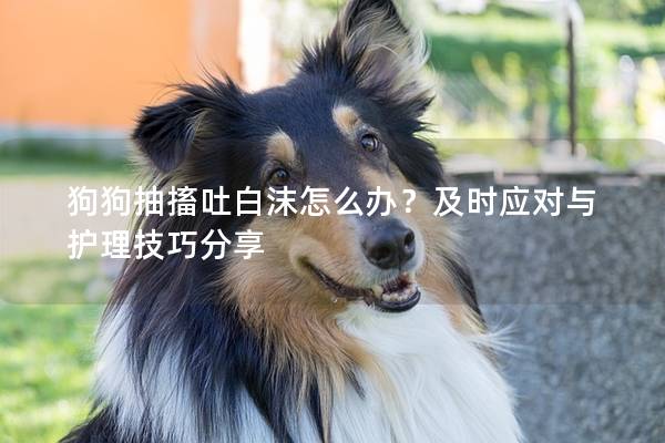 狗狗抽搐吐白沫怎么辦？及時(shí)應(yīng)對(duì)與護(hù)理技巧分享