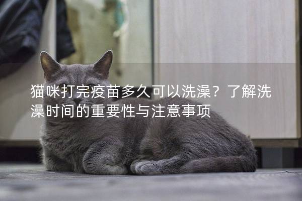 貓咪打完疫苗多久可以洗澡？了解洗澡時間的重要性與注意事項