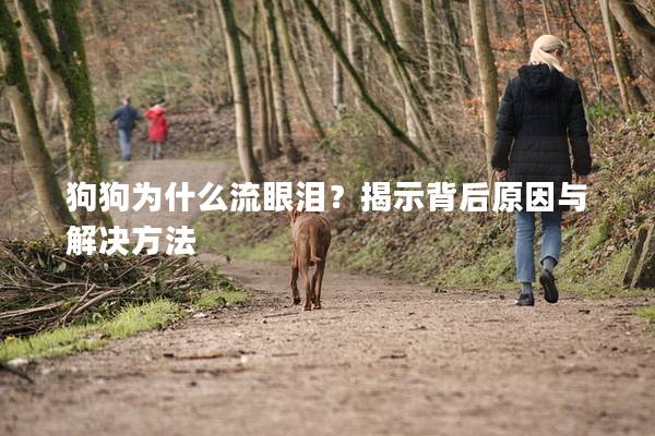 狗狗為什么流眼淚?揭示背后原因與解決方法 狗狗為什么流眼淚?揭示背后原因與解決方法