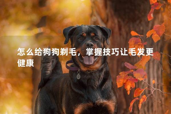 怎么給狗狗剃毛，掌握技巧讓毛發更健康