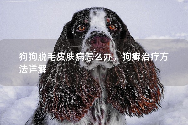 狗狗脫毛皮膚病怎么辦，狗癬治療方法詳解