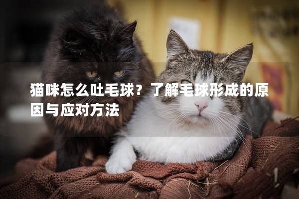貓咪怎么吐毛球？了解毛球形成的原因與應(yīng)對方法