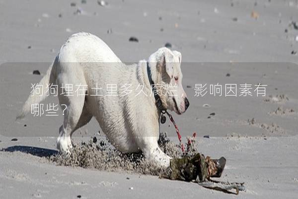 狗狗埋在土里多久腐爛，影響因素有哪些？