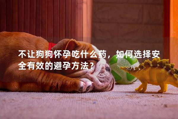 不讓狗狗懷孕吃什么藥，如何選擇安全有效的避孕方法？
