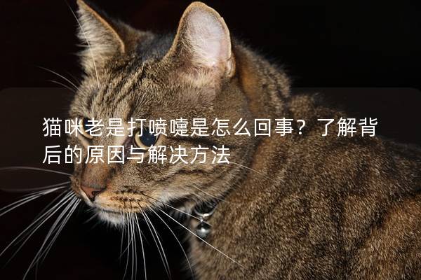 貓咪老是打噴嚏是怎么回事？了解背后的原因與解決方法