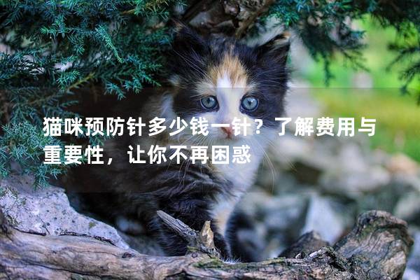 貓咪預(yù)防針多少錢一針？了解費(fèi)用與重要性，讓你不再困惑