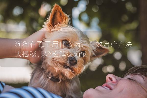 狗狗有虱子用什么藥？有效治療方法大揭秘，輕松解決煩惱