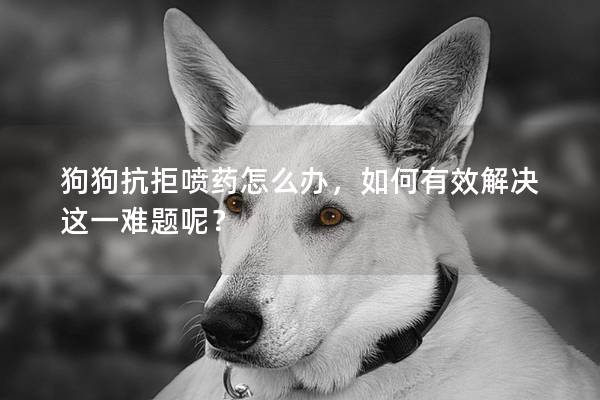 狗狗抗拒噴藥怎么辦，如何有效解決這一難題呢？