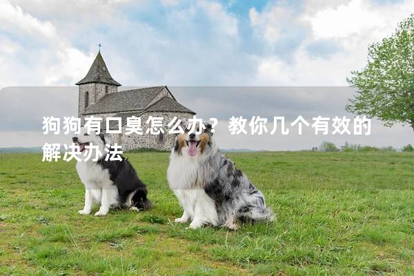 狗狗有口臭怎么辦？教你幾個有效的解決辦法
