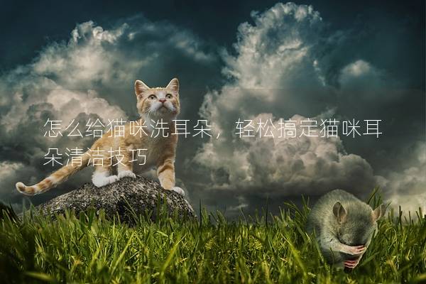 怎么給貓咪洗耳朵，輕松搞定貓咪耳朵清潔技巧