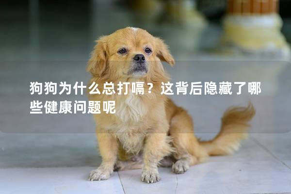 狗狗為什么總打嗝？這背后隱藏了哪些健康問題呢