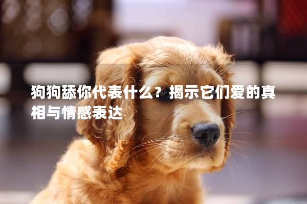 狗狗舔你代表什么？揭示它們愛的真相與情感表達
