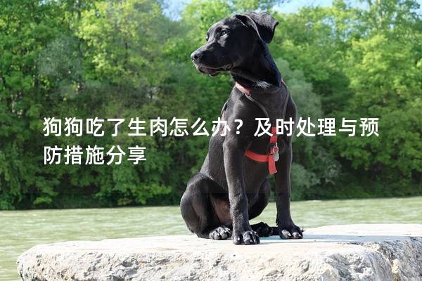 狗狗吃了生肉怎么辦？及時處理與預防措施分享