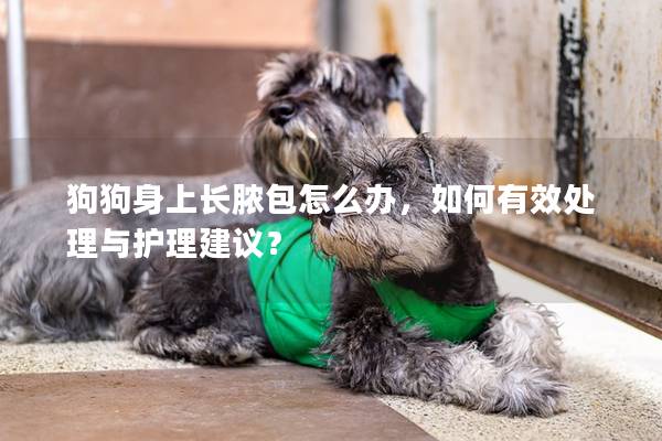 狗狗身上長膿包怎么辦，如何有效處理與護理建議？