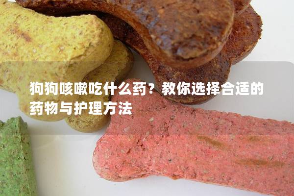 狗狗咳嗽吃什么藥？教你選擇合適的藥物與護(hù)理方法