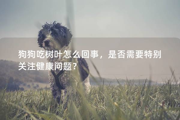 狗狗吃樹葉怎么回事,是否需要特別關注健康問題? 狗狗吃樹葉怎么回事,是否需要特別關注健康問題?