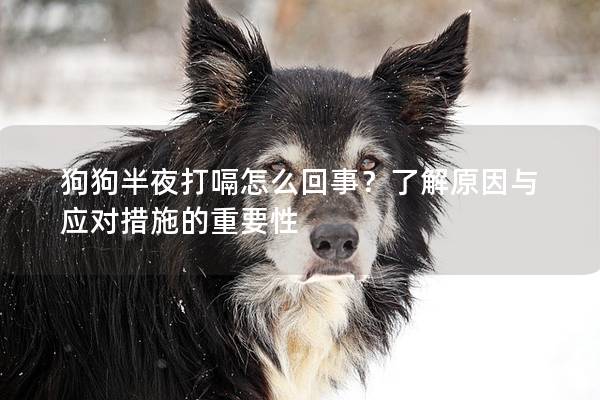 狗狗半夜打嗝怎么回事？了解原因與應(yīng)對措施的重要性
