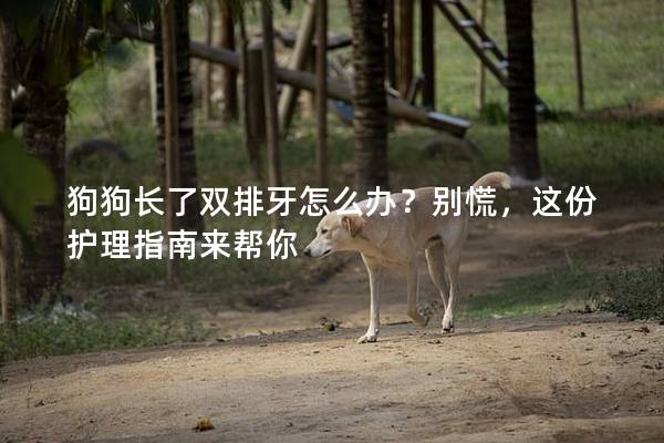 狗狗長了雙排牙怎么辦？別慌，這份護理指南來幫你