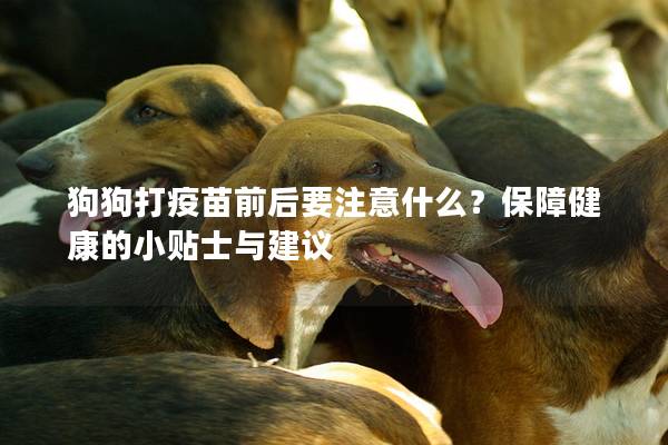 狗狗打疫苗前后要注意什么？保障健康的小貼士與建議