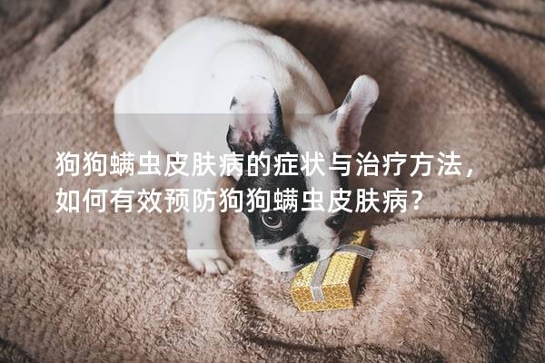 狗狗螨蟲皮膚病的癥狀與治療方法，如何有效預防狗狗螨蟲皮膚??？