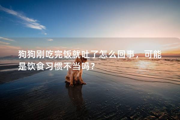 狗狗剛吃完飯就吐了怎么回事，可能是飲食習慣不當嗎？