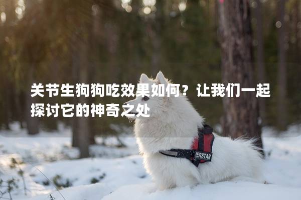 關(guān)節(jié)生狗狗吃效果如何？讓我們一起探討它的神奇之處
