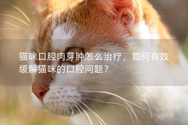 貓咪口腔肉芽腫怎么治療，如何有效緩解貓咪的口腔問題？
