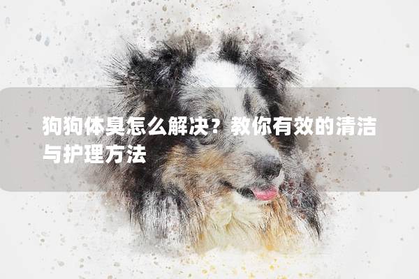 狗狗體臭怎么解決？教你有效的清潔與護理方法