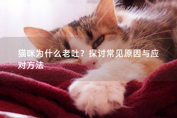 貓咪為什么老吐？探討常見原因與應對方法