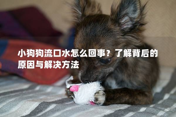 小狗狗流口水怎么回事？了解背后的原因與解決方法