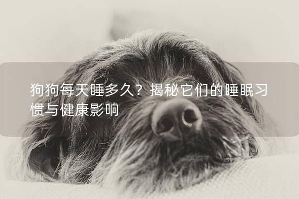 狗狗每天睡多久？揭秘它們的睡眠習(xí)慣與健康影響