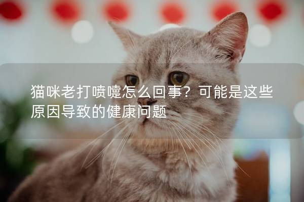 貓咪老打噴嚏怎么回事？可能是這些原因導致的健康問題