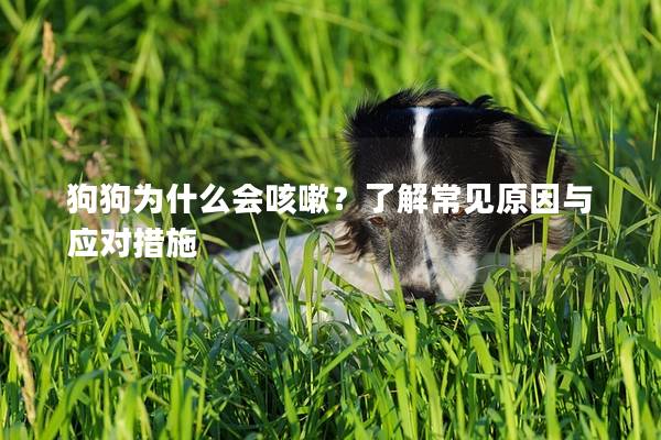 狗狗為什么會咳嗽？了解常見原因與應(yīng)對措施