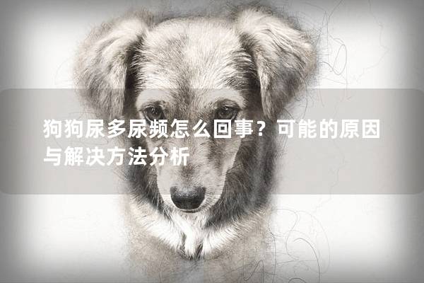 狗狗尿多尿頻怎么回事？可能的原因與解決方法分析