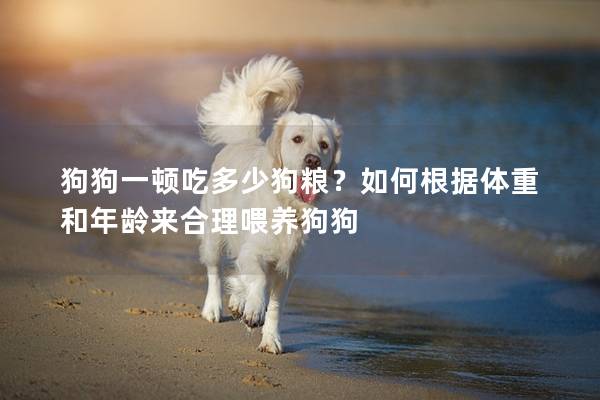 狗狗一頓吃多少狗糧？如何根據體重和年齡來合理喂養狗狗