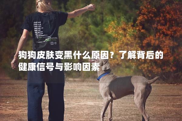 狗狗皮膚變黑什么原因？了解背后的健康信號(hào)與影響因素