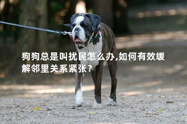 狗狗總是叫擾民怎么辦,如何有效緩解鄰里關系緊張? 狗狗總是叫擾民怎么辦,如何有效緩解鄰里關系緊張?