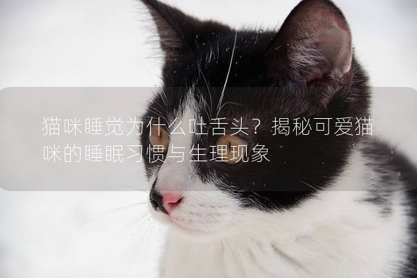 貓咪睡覺為什么吐舌頭？揭秘可愛貓咪的睡眠習(xí)慣與生理現(xiàn)象