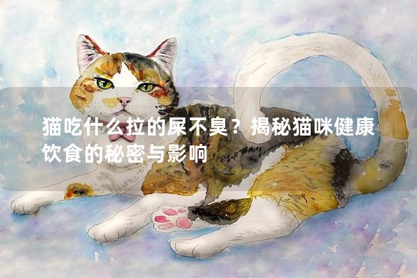 貓吃什么拉的屎不臭？揭秘貓咪健康飲食的秘密與影響