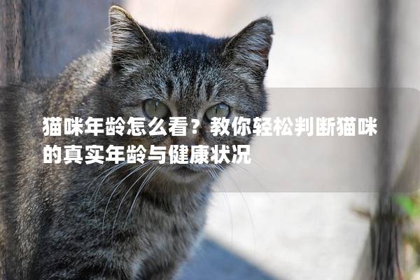 貓咪年齡怎么看？教你輕松判斷貓咪的真實(shí)年齡與健康狀況