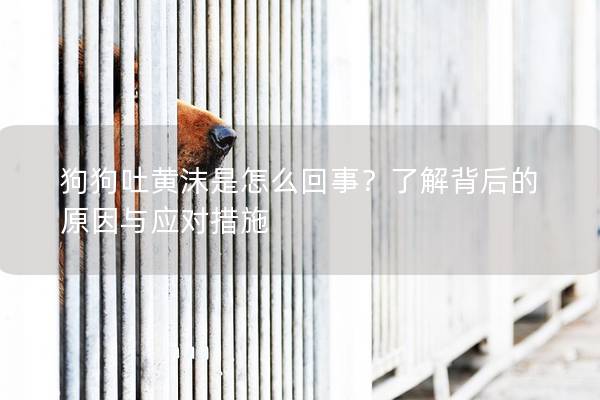 狗狗吐黃沫是怎么回事？了解背后的原因與應對措施