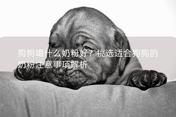 狗狗喝什么奶粉好？挑選適合狗狗的奶粉注意事項解析