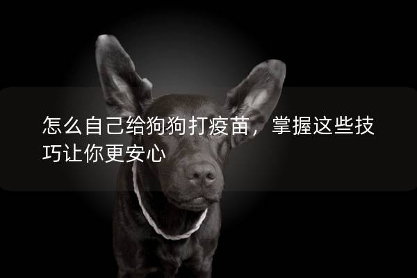 怎么自己給狗狗打疫苗,掌握這些技巧讓你更安心 怎么自己給狗狗打疫苗,掌握這些技巧讓你更安心